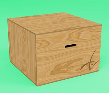 Medium Wooden Parkour Box